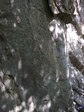 IMGP0572.JPG
